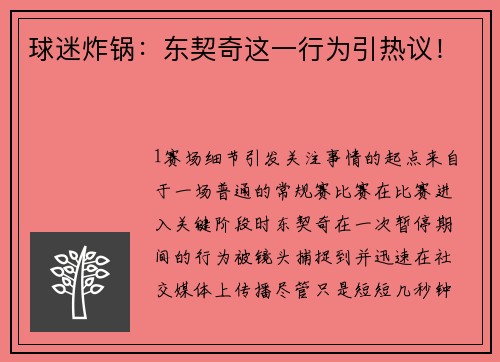球迷炸锅：东契奇这一行为引热议！