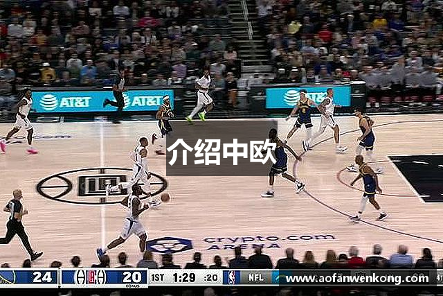 介绍中欧